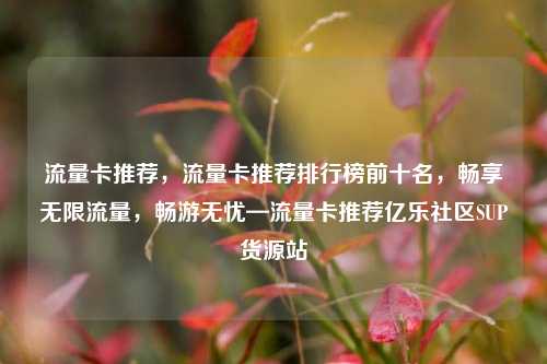 流量卡推荐，流量卡推荐排行榜前十名，畅享无限流量，畅游无忧—流量卡推荐亿乐社区SUP货源站  第1张