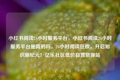 小红书阅读24小时服务平台，小红书阅读24小时服务平台是真的吗，24小时阅读狂欢，开启知识新纪元！亿乐社区低价自营货源站  第1张