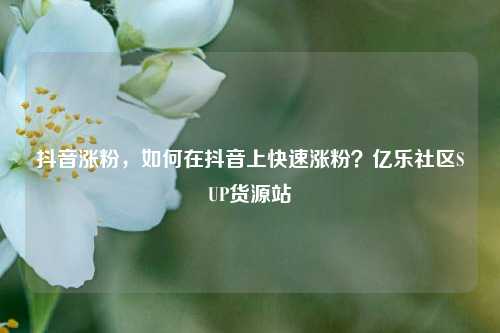 抖音涨粉，如何在抖音上快速涨粉？亿乐社区SUP货源站  第1张