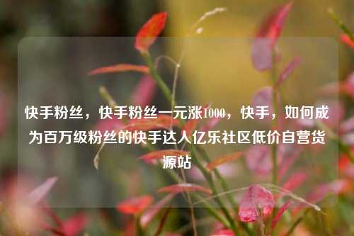 快手粉丝，快手粉丝一元涨1000	，快手，如何成为百万级粉丝的快手达人亿乐社区低价自营货源站  第1张