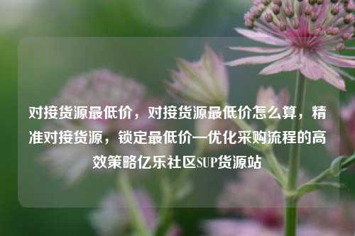 对接货源最低价，对接货源最低价怎么算，精准对接货源，锁定最低价—优化采购流程的高效策略亿乐社区SUP货源站  第1张