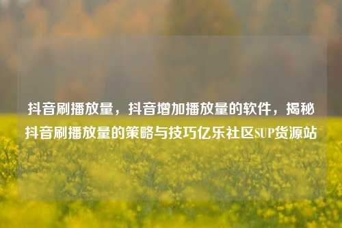抖音刷播放量，抖音增加播放量的软件，揭秘抖音刷播放量的策略与技巧亿乐社区SUP货源站  第1张