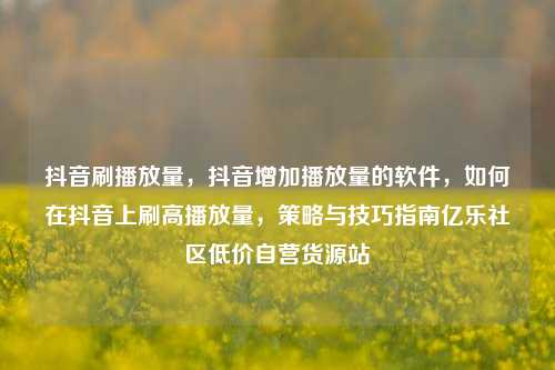 抖音刷播放量，抖音增加播放量的软件，如何在抖音上刷高播放量，策略与技巧指南亿乐社区低价自营货源站  第1张