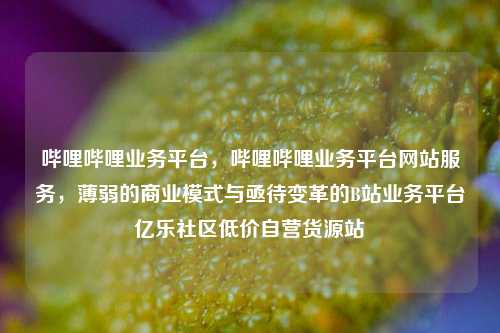 哔哩哔哩业务平台，哔哩哔哩业务平台网站服务，薄弱的商业模式与亟待变革的B站业务平台亿乐社区低价自营货源站  第1张