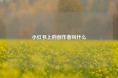小红书上的创作者叫什么  第1张