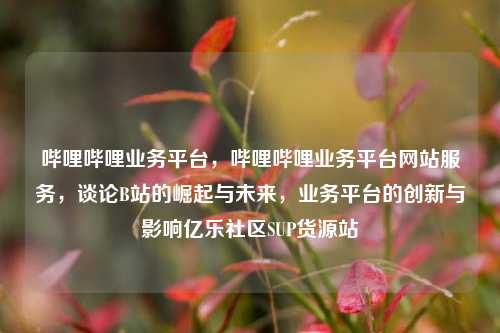 哔哩哔哩业务平台	，哔哩哔哩业务平台网站服务，谈论B站的崛起与未来，业务平台的创新与影响亿乐社区SUP货源站  第1张