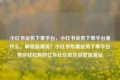 小红书业务下单平台，小红书业务下单平台是什么，解锁新潮流！小红书专属业务下单平台带你轻松购物亿乐社区低价自营货源站  第1张