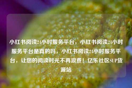 小红书阅读24小时服务平台，小红书阅读24小时服务平台是真的吗，小红书阅读24小时服务平台，让您的阅读时光不再浪费！亿乐社区SUP货源站  第1张