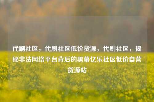代刷社区，代刷社区低价货源，代刷社区	，揭秘非法网络平台背后的黑幕亿乐社区低价自营货源站  第1张