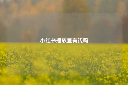 小红书播放量有钱吗  第1张