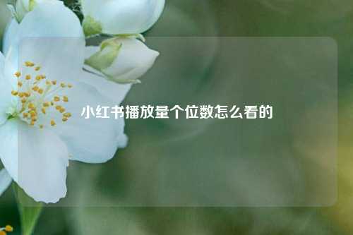小红书播放量个位数怎么看的  第1张