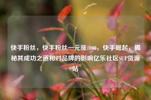 快手粉丝，快手粉丝一元涨1000，快手崛起，揭秘其成功之道和对品牌的影响亿乐社区SUP货源站  第1张