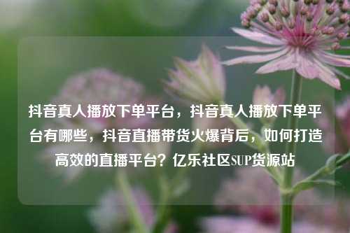 抖音真人播放下单平台	，抖音真人播放下单平台有哪些，抖音直播带货火爆背后，如何打造高效的直播平台？亿乐社区SUP货源站  第1张