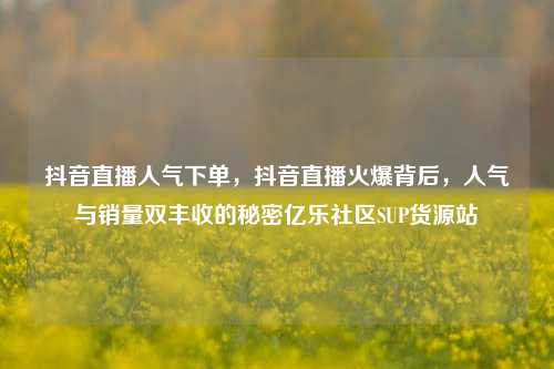 抖音直播人气下单，抖音直播火爆背后，人气与销量双丰收的秘密亿乐社区SUP货源站  第1张