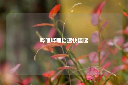 哔哩哔哩倍速快捷键  第1张