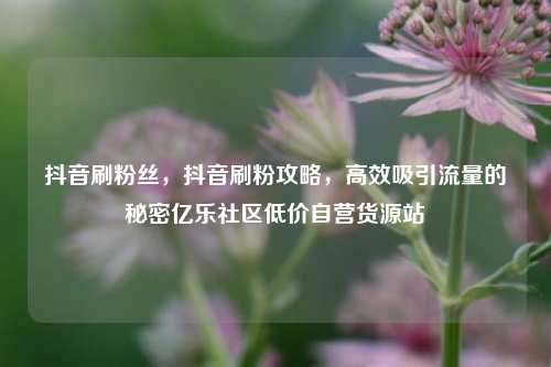 抖音刷粉丝，抖音刷粉攻略，高效吸引流量的秘密亿乐社区低价自营货源站  第1张