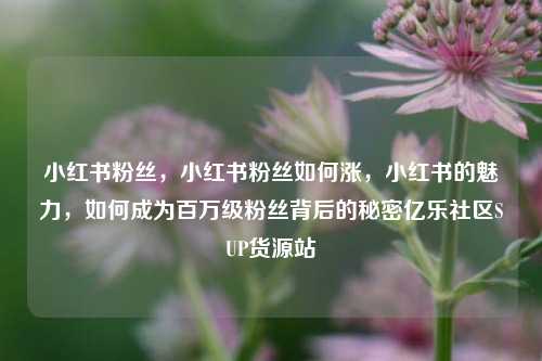 小红书粉丝，小红书粉丝如何涨，小红书的魅力，如何成为百万级粉丝背后的秘密亿乐社区SUP货源站  第1张