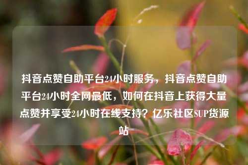 抖音点赞自助平台24小时服务，抖音点赞自助平台24小时全网最低，如何在抖音上获得大量点赞并享受24小时在线支持？亿乐社区SUP货源站  第1张