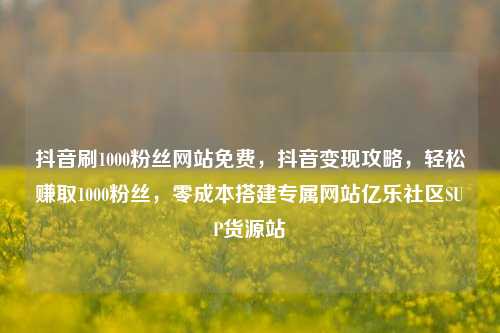 抖音刷1000粉丝网站免费，抖音变现攻略，轻松赚取1000粉丝，零成本搭建专属网站亿乐社区SUP货源站  第1张