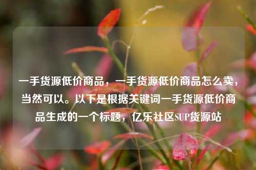 一手货源低价商品，一手货源低价商品怎么卖，当然可以。以下是根据关键词一手货源低价商品生成的一个标题，亿乐社区SUP货源站  第1张