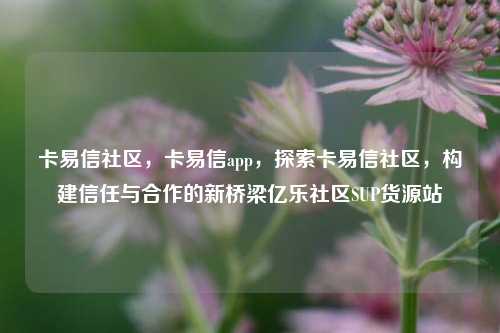 卡易信社区，卡易信app，探索卡易信社区	，构建信任与合作的新桥梁亿乐社区SUP货源站  第1张