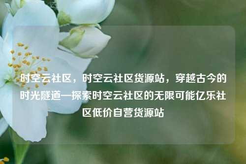 时空云社区，时空云社区货源站，穿越古今的时光隧道—探索时空云社区的无限可能亿乐社区低价自营货源站  第1张