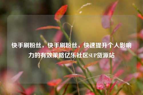快手刷粉丝，快手刷粉丝	，快速提升个人影响力的有效策略亿乐社区SUP货源站  第1张