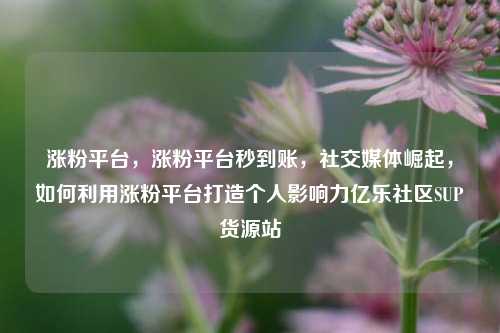 涨粉平台，涨粉平台秒到账，社交媒体崛起，如何利用涨粉平台打造个人影响力亿乐社区SUP货源站  第1张