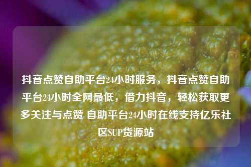 抖音点赞自助平台24小时服务，抖音点赞自助平台24小时全网最低	，借力抖音，轻松获取更多关注与点赞 自助平台24小时在线支持亿乐社区SUP货源站  第1张