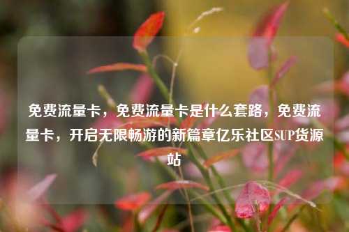 免费流量卡，免费流量卡是什么套路，免费流量卡	，开启无限畅游的新篇章亿乐社区SUP货源站  第1张