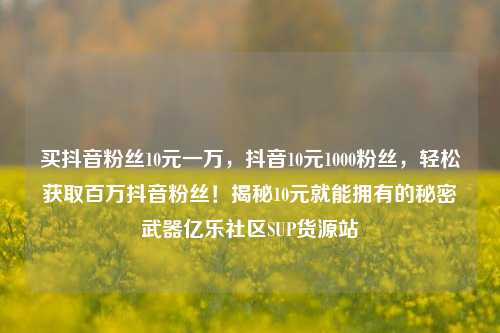 买抖音粉丝10元一万，抖音10元1000粉丝	，轻松获取百万抖音粉丝！揭秘10元就能拥有的秘密武器亿乐社区SUP货源站  第1张