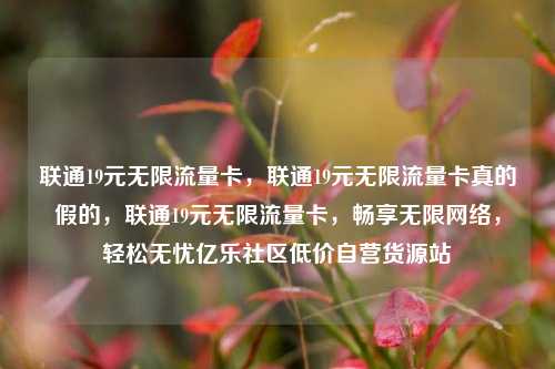 联通19元无限流量卡	，联通19元无限流量卡真的假的，联通19元无限流量卡，畅享无限网络	，轻松无忧亿乐社区低价自营货源站  第1张
