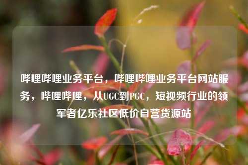 哔哩哔哩业务平台，哔哩哔哩业务平台网站服务，哔哩哔哩，从UGC到PGC，短视频行业的领军者亿乐社区低价自营货源站  第1张