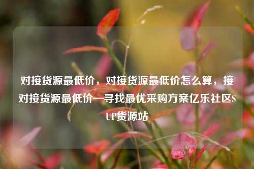 对接货源最低价，对接货源最低价怎么算，接对接货源最低价—寻找最优采购方案亿乐社区SUP货源站  第1张