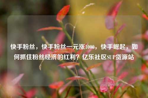 快手粉丝，快手粉丝一元涨1000，快手崛起	，如何抓住粉丝经济的红利？亿乐社区SUP货源站  第1张