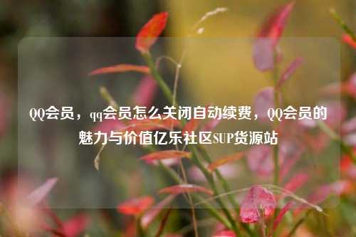 QQ会员，qq会员怎么关闭自动续费	，QQ会员的魅力与价值亿乐社区SUP货源站  第1张