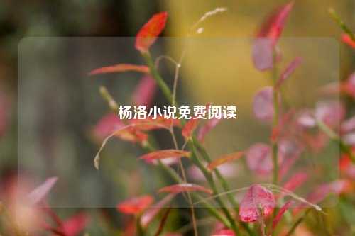杨洛小说免费阅读  第1张