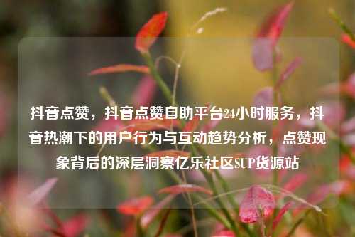 抖音点赞，抖音点赞自助平台24小时服务，抖音热潮下的用户行为与互动趋势分析	，点赞现象背后的深层洞察亿乐社区SUP货源站  第1张