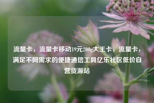 流量卡，流量卡移动19元200g大王卡，流量卡，满足不同需求的便捷通信工具亿乐社区低价自营货源站  第1张