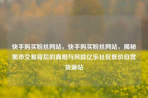 快手购买粉丝网站，快手购买粉丝网站，揭秘黑市交易背后的真相与风险亿乐社区低价自营货源站  第1张