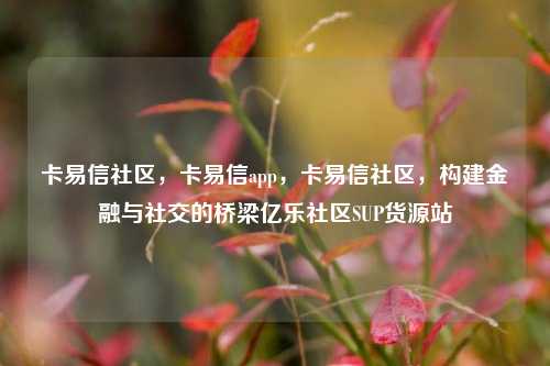 卡易信社区，卡易信app，卡易信社区，构建金融与社交的桥梁亿乐社区SUP货源站  第1张