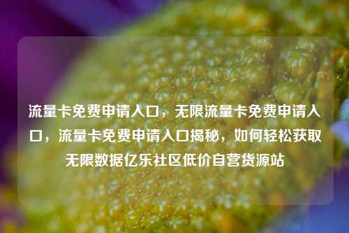 流量卡免费申请入口，无限流量卡免费申请入口，流量卡免费申请入口揭秘，如何轻松获取无限数据亿乐社区低价自营货源站  第1张