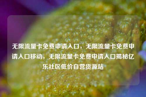 无限流量卡免费申请入口，无限流量卡免费申请入口移动，无限流量卡免费申请入口揭秘亿乐社区低价自营货源站  第1张