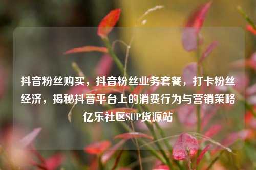 抖音粉丝购买，抖音粉丝业务套餐，打卡粉丝经济	，揭秘抖音平台上的消费行为与营销策略亿乐社区SUP货源站  第1张