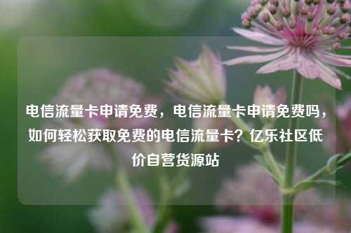 电信流量卡申请免费	，电信流量卡申请免费吗，如何轻松获取免费的电信流量卡？亿乐社区低价自营货源站  第1张