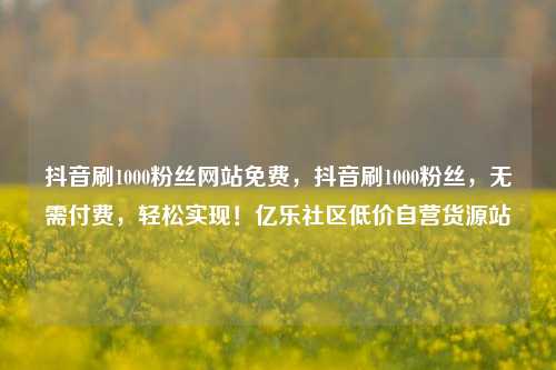抖音刷1000粉丝网站免费，抖音刷1000粉丝，无需付费，轻松实现！亿乐社区低价自营货源站  第1张