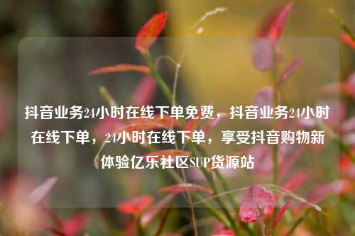 抖音业务24小时在线下单免费，抖音业务24小时在线下单，24小时在线下单，享受抖音购物新体验亿乐社区SUP货源站  第1张