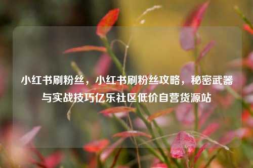 小红书刷粉丝，小红书刷粉丝攻略，秘密武器与实战技巧亿乐社区低价自营货源站  第1张