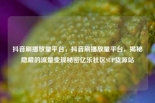 抖音刷播放量平台	，抖音刷播放量平台，揭秘隐藏的流量变现秘密亿乐社区SUP货源站  第1张