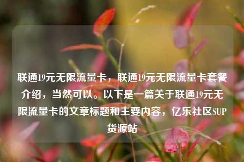 联通19元无限流量卡，联通19元无限流量卡套餐介绍，当然可以。以下是一篇关于联通19元无限流量卡的文章标题和主要内容，亿乐社区SUP货源站  第1张